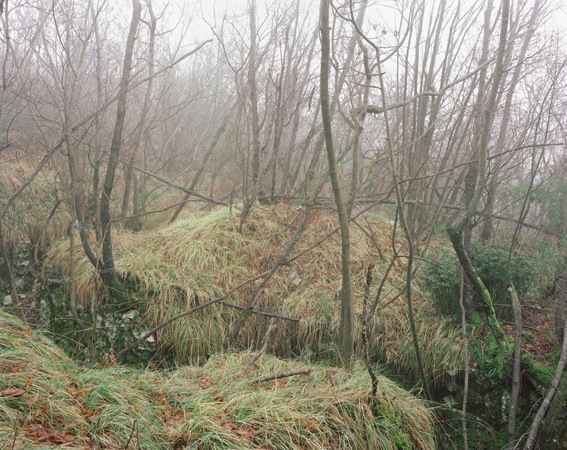 Paola de Pietri - Monte Ermada, @009 - 2012