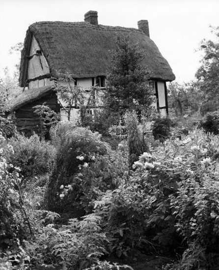 Edwin Smith, Limetree Cottage, East Hagbourne,1953. (Chris Beetles Gallery)