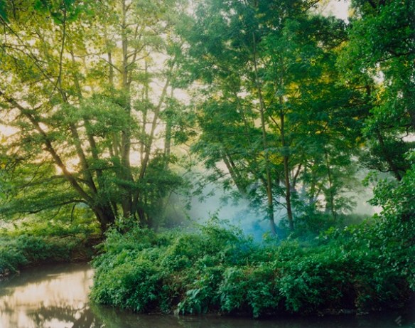 Harry Cory Wright. First Smoke Flare into Alder, 2012