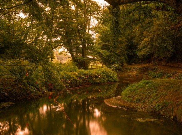 Harry Cory Wright Fishing Bend and Candlelight, 2012