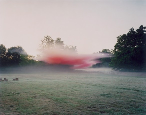 Harry Cory Wright. Rose Grenade, 2012