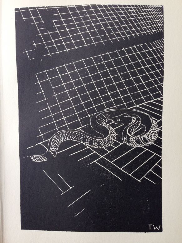 Grass Snake.  Illustration by TH White from his own England Have My Bones, 1936 " A female is pouring from behind the sofa. As the floor is of polished wood she gets a poor grip of it ( she prefers the hearth-rug) and elects to decant herself along the angle between wall and floor.  Here she can press sideways as well as downwards, and gets a better grip." How local can you get? A natural history of one's living room.