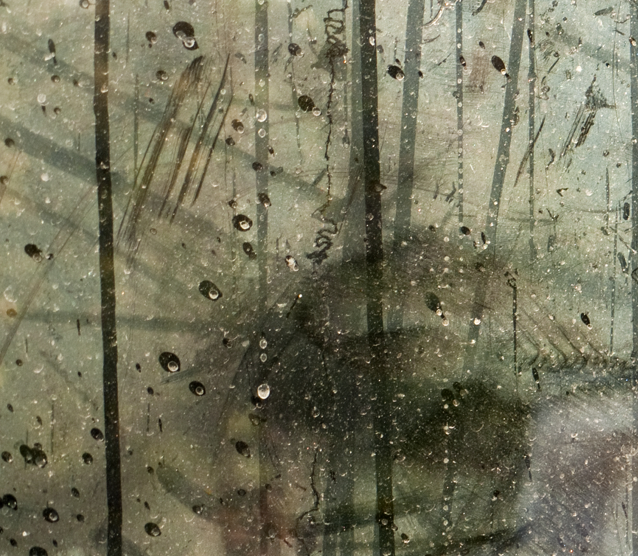 Caroline Fellowes. Animal, Vegetable, Mineral 8. 2014