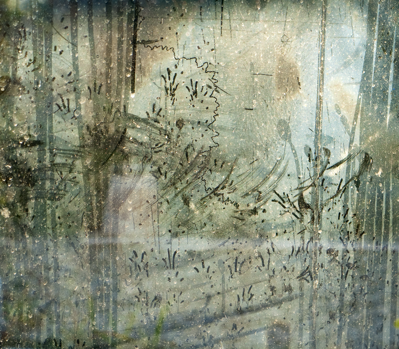 Caroline Fellowes. Animal, Vegetable, Mineral 1. 2014