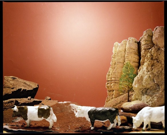 Mari Mahr, Canyon 1916, From the Georgia O'Keeffe series (1982)