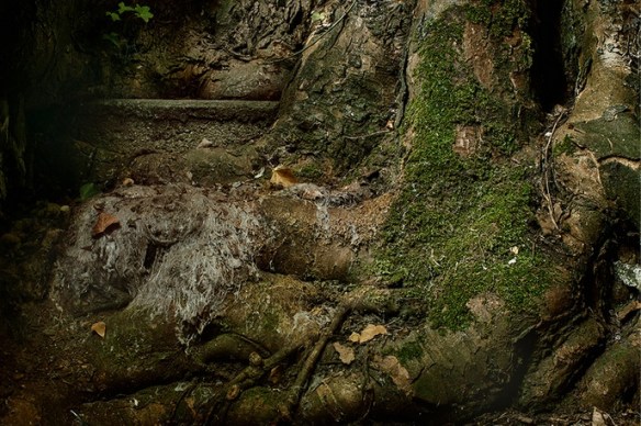 maija-tammi-day-79-from-white-rabbit-series