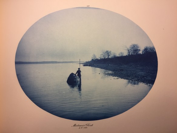 Henry Peter Bosse : Mechanic's Rock, Low Water, 1889