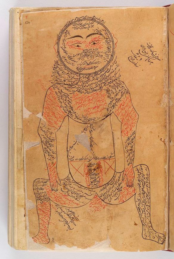 16th C copy of an illustration of Avicenna -11th C- of the muscular system